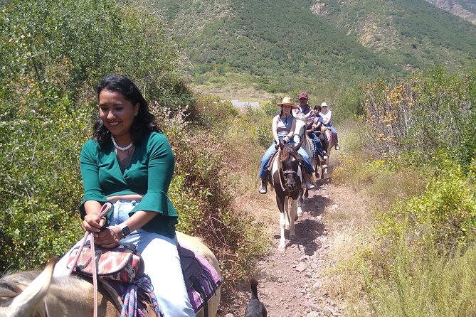 Desert Peaks on Horseback, Exploring Mountain Trails of Ensenada - Overview of the Tour