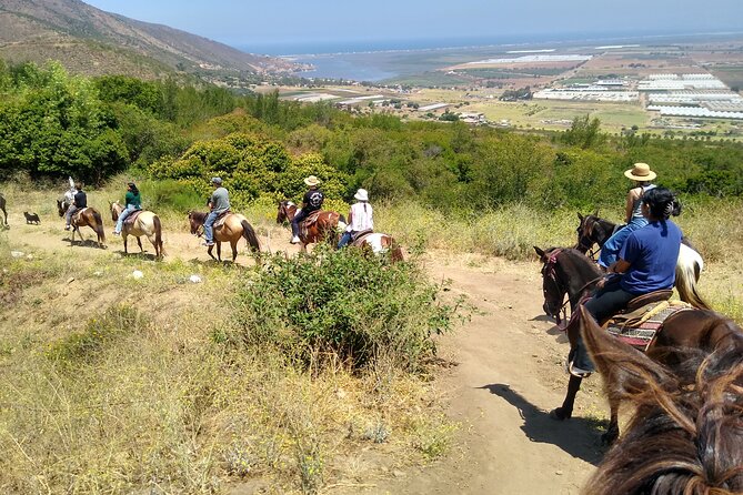 Desert Peaks on Horseback, Exploring Mountain Trails of Ensenada - Inclusions and Equipment Provided