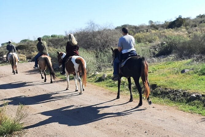 Desert Peaks on Horseback, Exploring Mountain Trails of Ensenada - Meeting and Pickup Information