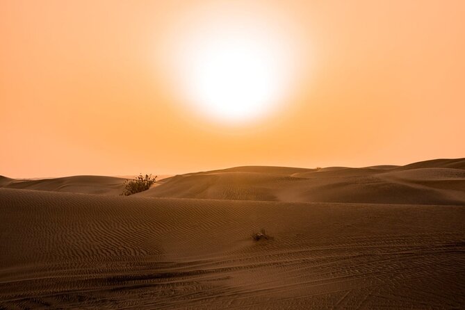 Desert Quad Biking Tour and Sand Boarding With Dinner in Dubai - Cancellation Policy