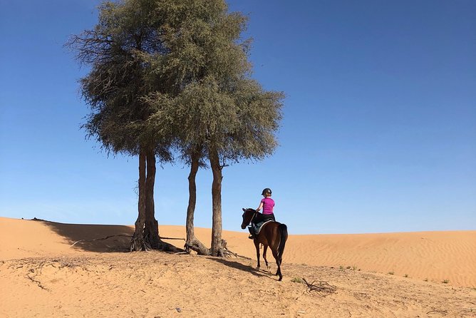 Desert Ride - Inclusions