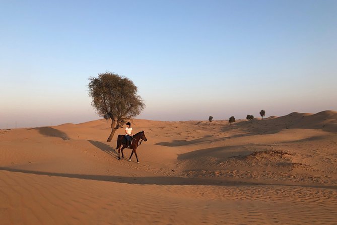 Desert Ride - Meeting and Pickup