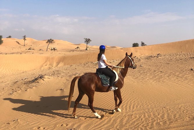 Desert Ride - Common Questions