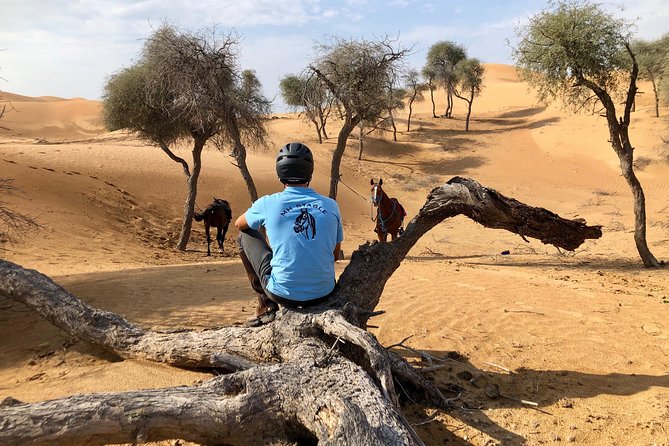Desert Ride - The Sum Up