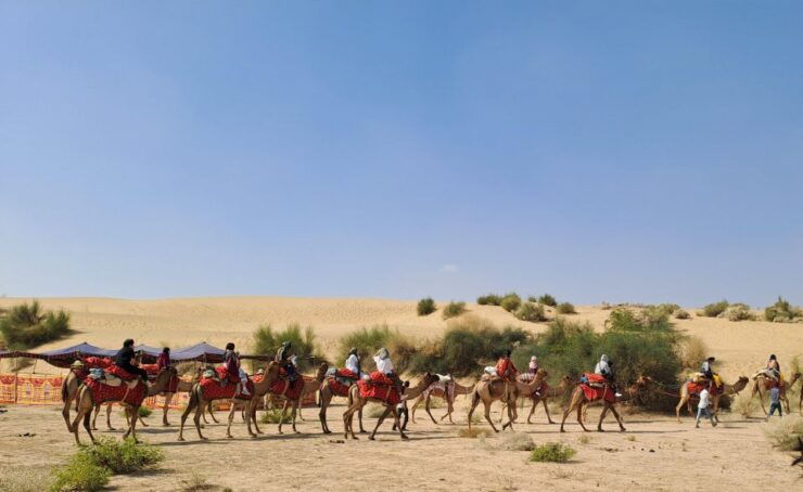Desert Rose Jaisalmer: Luxury Tent In Thar Desert - Languages and Pickup Information