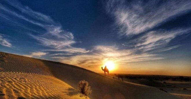 Desert Rose Jaisalmer: Non-Touristic,Billion Star Experience - Cultural Evening Entertainment Activities