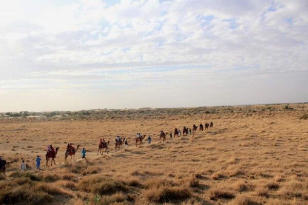 Desert Rose Jaisalmer: Non-Touristic,Billion Star Experience - Essential Information and Recommendations