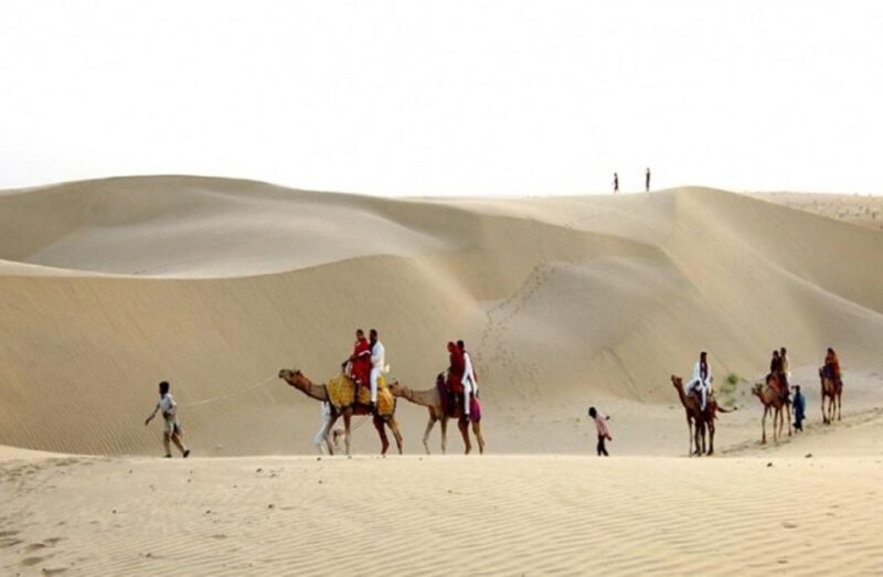 Desert Rose Jaisalmer: Overnight Stay Middle of Thar Desert - Authenticity and Guest Experiences
