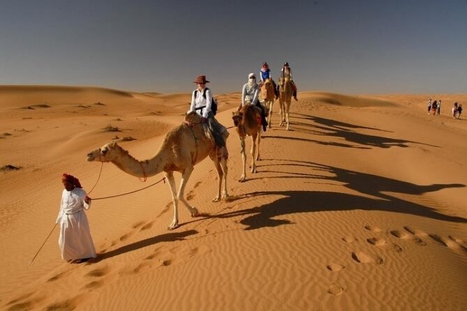 Desert Safari 4x4 Dunes, Camel Riding, BBQ & Live Shows - Details of the 4x4 Dunes Adventure