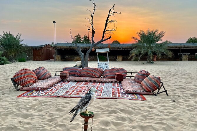 Desert Safari Abu Dhabi W/ Sand Boarding, Camel Ride & BBQ Dinner - Important Information