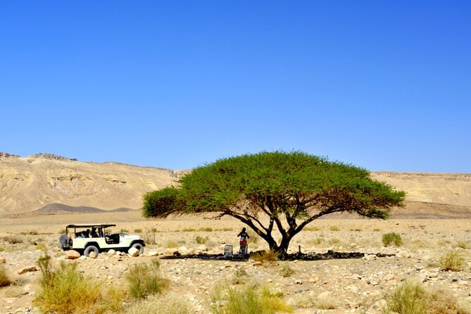Desert Safari and Dead Sea Day Trip From Tel Aviv - Tour Highlights