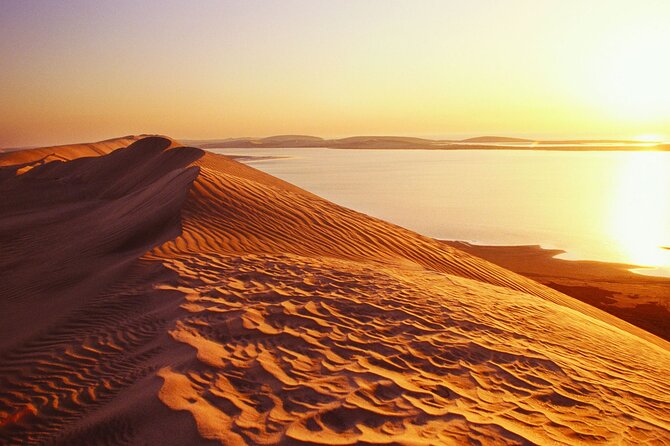 Desert Safari and Inland Sea(Private Tour) - Private Excursion From Doha
