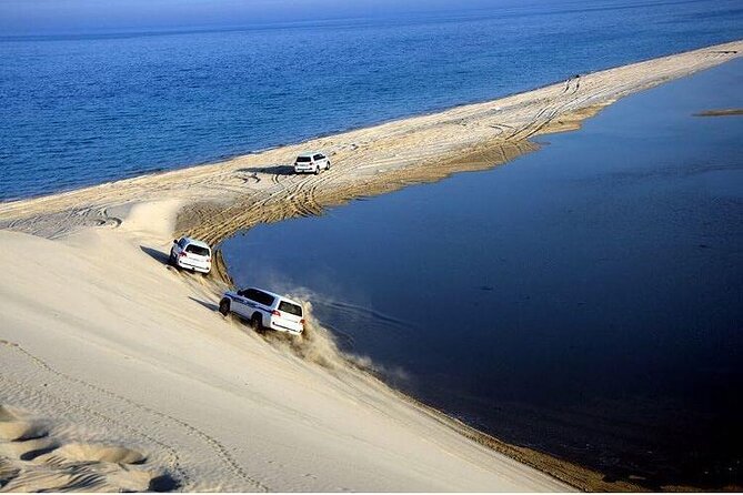 Desert Safari and Inland Sea(Private Tour) - Beauty of the Qatari Desert