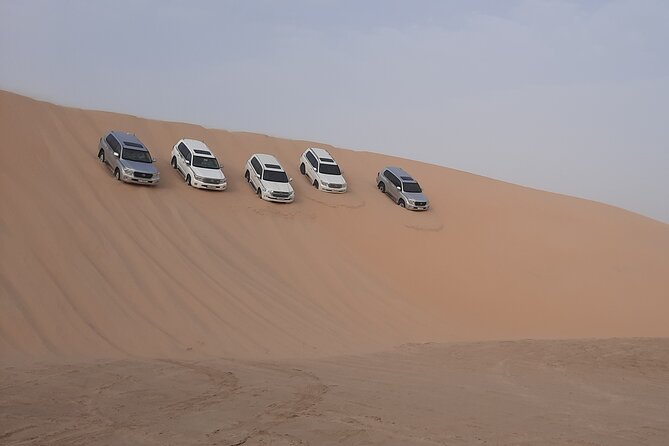 Desert Safari and Inland Sea(Private Tour) - Positive Traveler Reviews