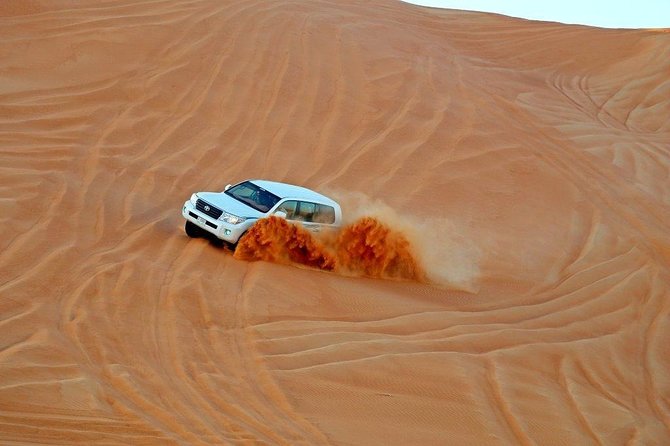 Desert Safari Arabia & Dinner BBQ & Camel Riding - Questions and Terms