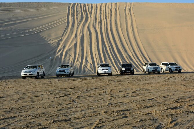Desert Safari, Camel Ride and Inland Sea Tour - Reviews