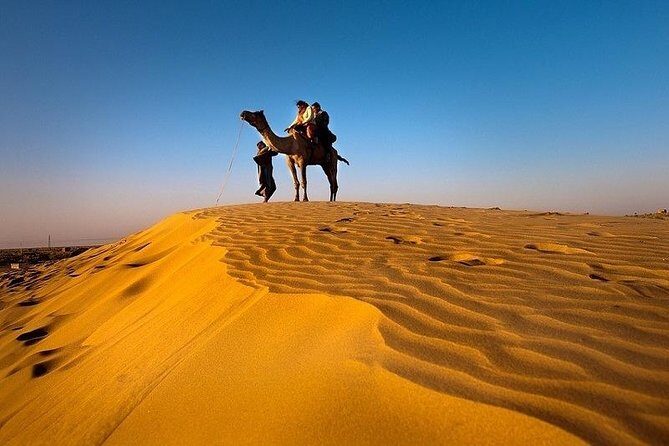 Desert Safari [ Camel+Jeep ] AmazingJaisalmer - Good To Know