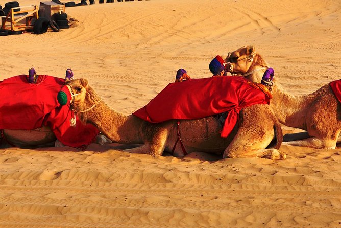 Desert Safari Deals - Different Activities Included