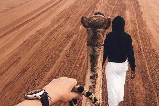 Desert Safari Dubai Pickup & Drop off by Land Cruiser - Pickup and Drop-off by Land Cruiser