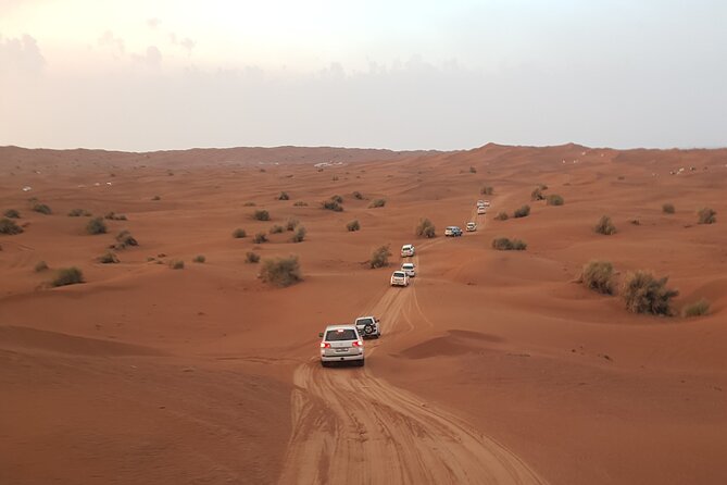 Desert Safari Dubai & Quad Bike With Dinner - Visual Representation and Reviews