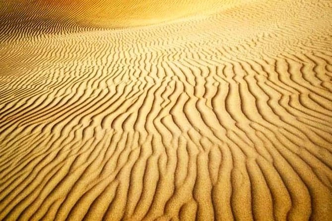 Desert Safari Dubai With BBQ Dinner And Live Shows - Thrilling Activities in the Desert