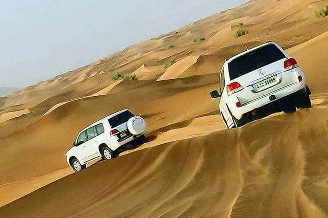 Desert Safari Dubai With BBQ Dinner & Live Shows - Reviews and Ratings