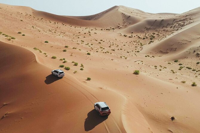 Desert Safari Dubai With Dune Bashing, Activities and Dinner - What To Expect