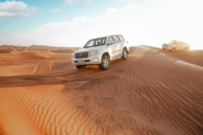 Desert Safari Dubai With Dune Bashing, Sandboarding, Camel Ride, 5 Shows, Dinner - Reviews From Previous Travelers