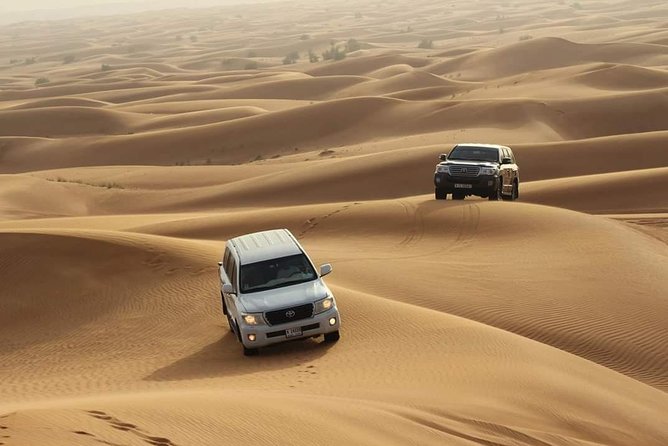 Desert Safari : Free Sandboarding, Camel Riding,BBQ Dinner Live Activities - Tour Highlights and Activities