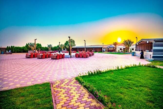 Desert Safari in 4x4 Car With BBQ Dinner and Belly Dance - Affordable Pricing Options