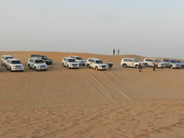 Desert Safari in a 4 X 4 With Sand Ski and Camel Ride From Dubai - Luxury Land Cruiser Experience