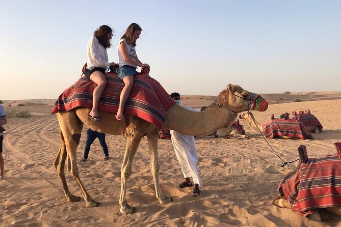 Desert Safari in Dubai - Epic 6-Hour Adventure in the Desert