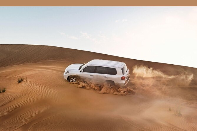Desert Safari In Dubai With 4x4 Pick & Drop & Live Show - Good To Know