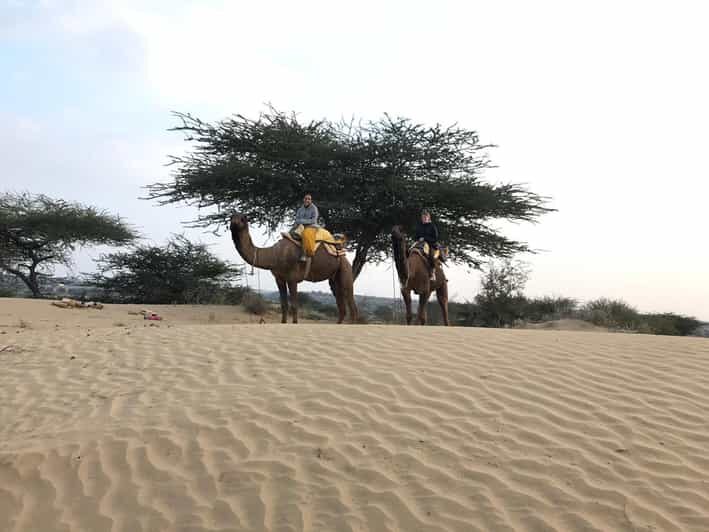 Desert Safari In Jodhpur - The Jeep Safari: An Added Thrill