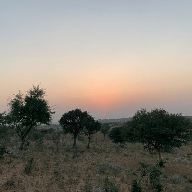 Desert Safari In Jodhpur - Who Should Book This Tour?