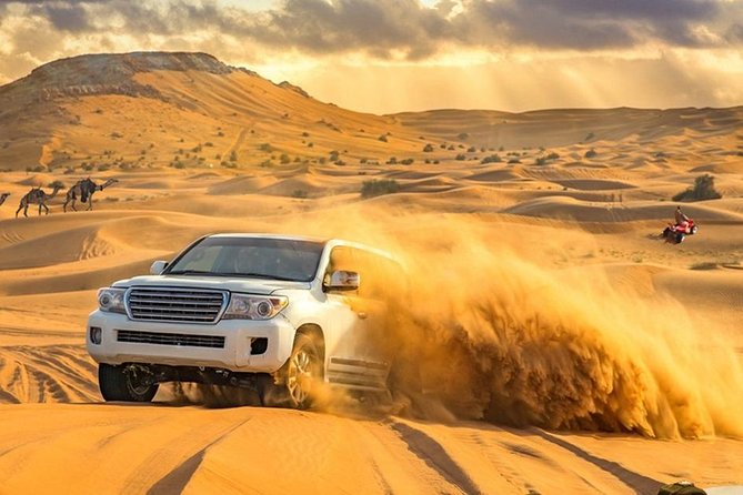 Desert Safari Morning With Camel Ride and Sand Boarding - Dune Bashing: A Thrilling Experience