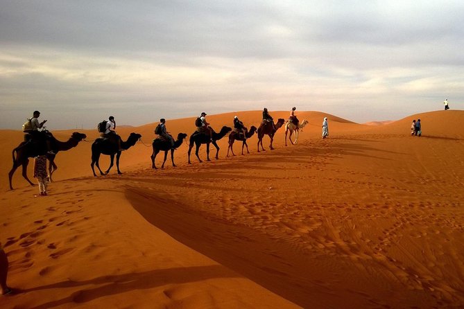 Desert Safari (Private Vehicle) - Pricing and Reservation Details