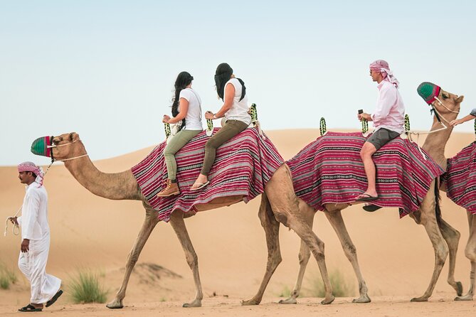 Desert Safari Qatar - Top Desert Safari Experiences