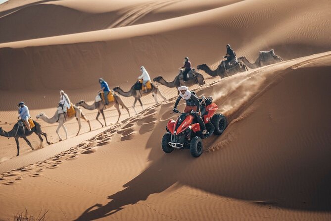 Desert Safari Qatar - Tips for a Memorable Safari