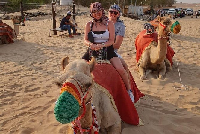 Desert Safari Sharing - What to Expect on a Desert Safari Sharing Tour