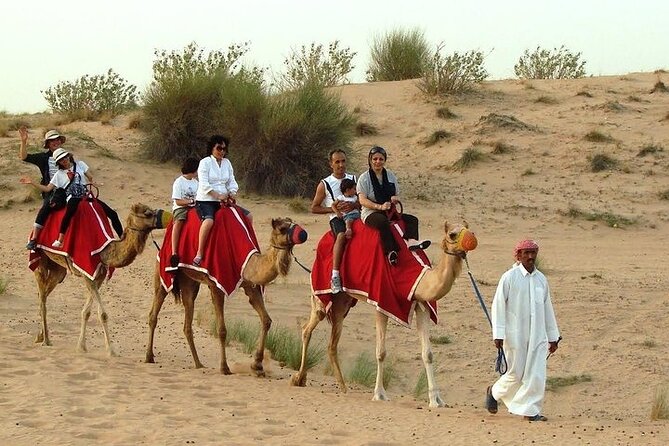 Desert Safari Tour, 6 Hour Fun, Family & Friends, Camel Ride & Dinner Included - Reviews and Ratings From Travelers