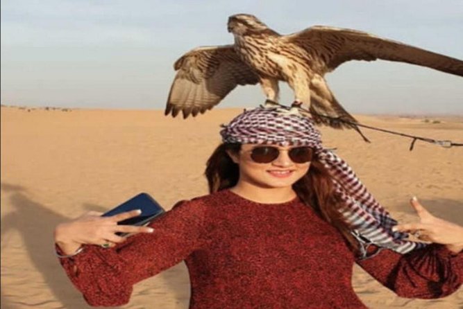 Desert Safari Tour, 6 Hour Fun, Family & Friends, Camel Ride & Dinner Included - The Sum Up