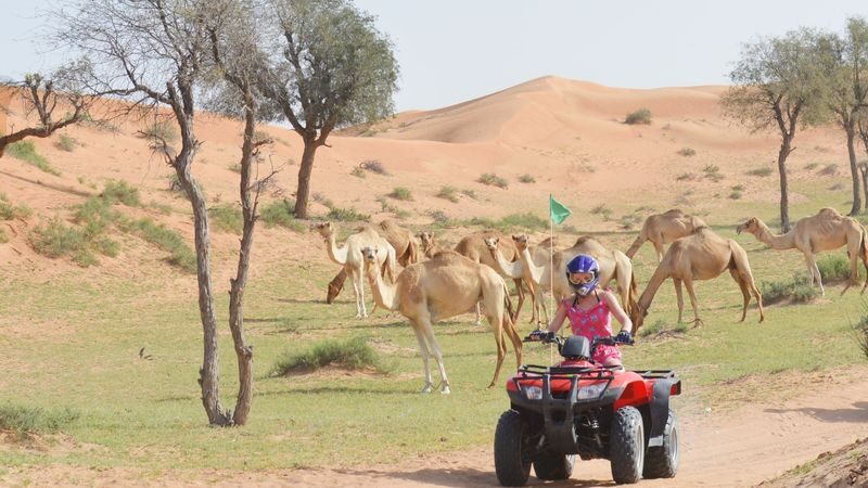 Desert Safari Tour from Dubai, Ras Al Khaimah, and Sharjah - A good fit for an active, social evening