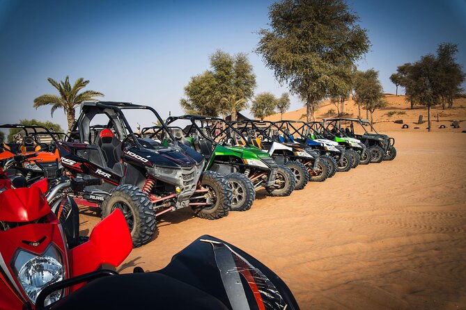 Desert Safari Tour With Private Rooms for Stay Near Dubai - Reviews