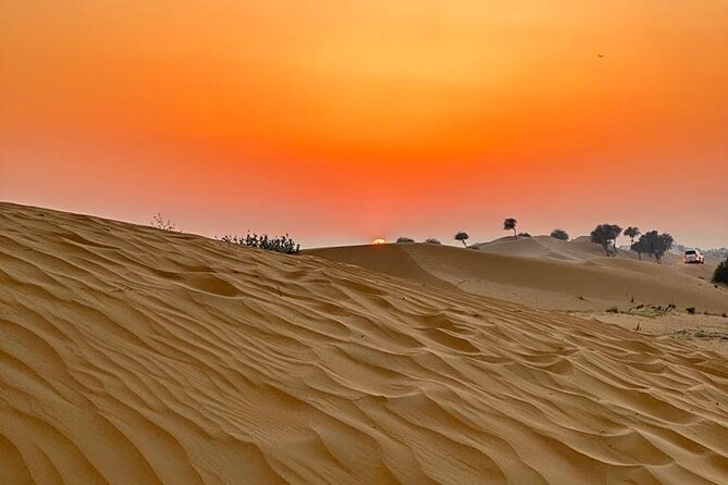 Desert Safari With Bab Al Shams Camp - Desert Safari Overview