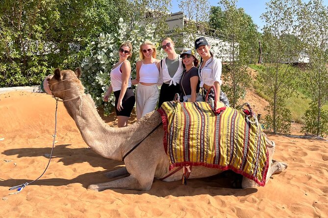 Desert Safari With BBQ Dinner and Camel Ride Experience From Dubai - Reviews