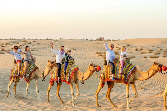 Desert Safari With BBQ Dinner and Live Shows - Outdoor Desert Safari Experience