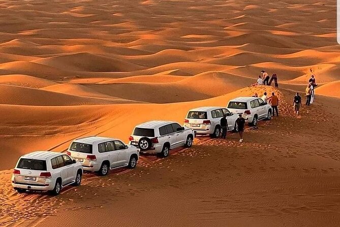 Desert Safari With BBQ Dinner, Camel Ride, Sand Boarding In Dubai - Desert Safari Experience Highlights