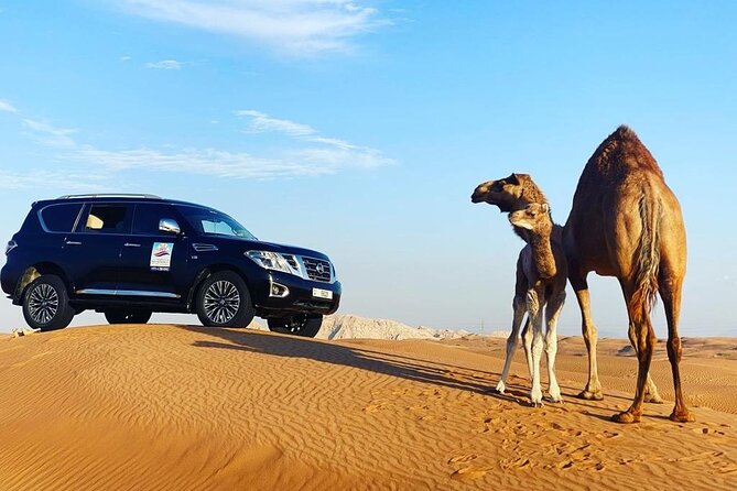 Desert Safari With BBQ Dinner, Quad Bike and Camel Ride Experience From Dubai - Positive Reviews and Memorable Experiences