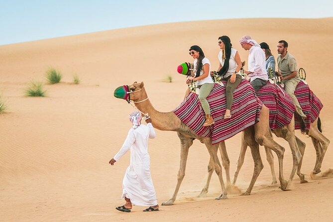 Desert Safari With BBQ Dinner VIP - Pricing and Booking